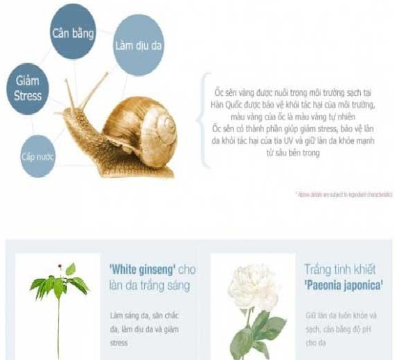 kem-duong-da-oc-sen-goodal-premium-snail-tone-up-cream