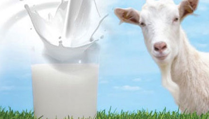 sữa rửa mặt cho da khô chiết xuất từ sữa dê