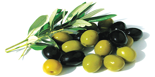 sua-rua-mat-ninisfree-chua-tinh-dau-olive